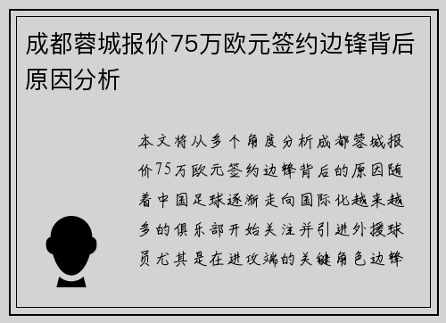 成都蓉城报价75万欧元签约边锋背后原因分析