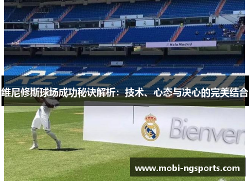 维尼修斯球场成功秘诀解析：技术、心态与决心的完美结合