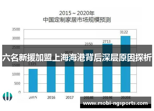六名新援加盟上海海港背后深层原因探析