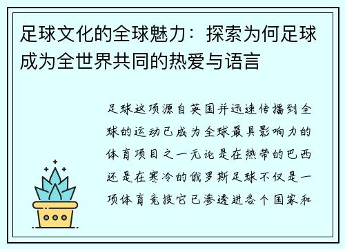足球文化的全球魅力：探索为何足球成为全世界共同的热爱与语言